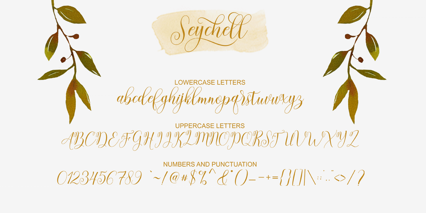 Example font Seychell Script #5